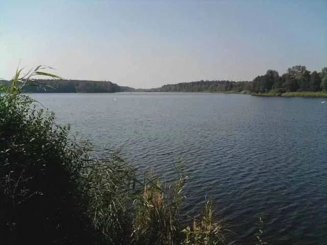 Zdjęcie z galerii
