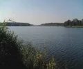 Zdjęcie z galerii